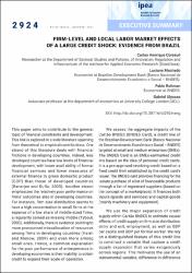 Firm-level and local labor market effects of a large credit shock : evidence from Brazil